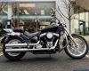 Harley Davidson ST Standrd 107
SOFTAIL STANDARD